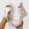 White / 6